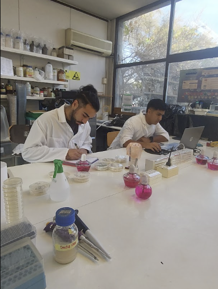 Imagen de la galería del Laboratorio de Fitopatología Frutal y Molecular: image11