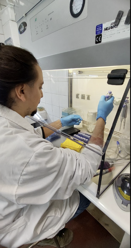 Imagen de la galería del Laboratorio de Fitopatología Frutal y Molecular: image12