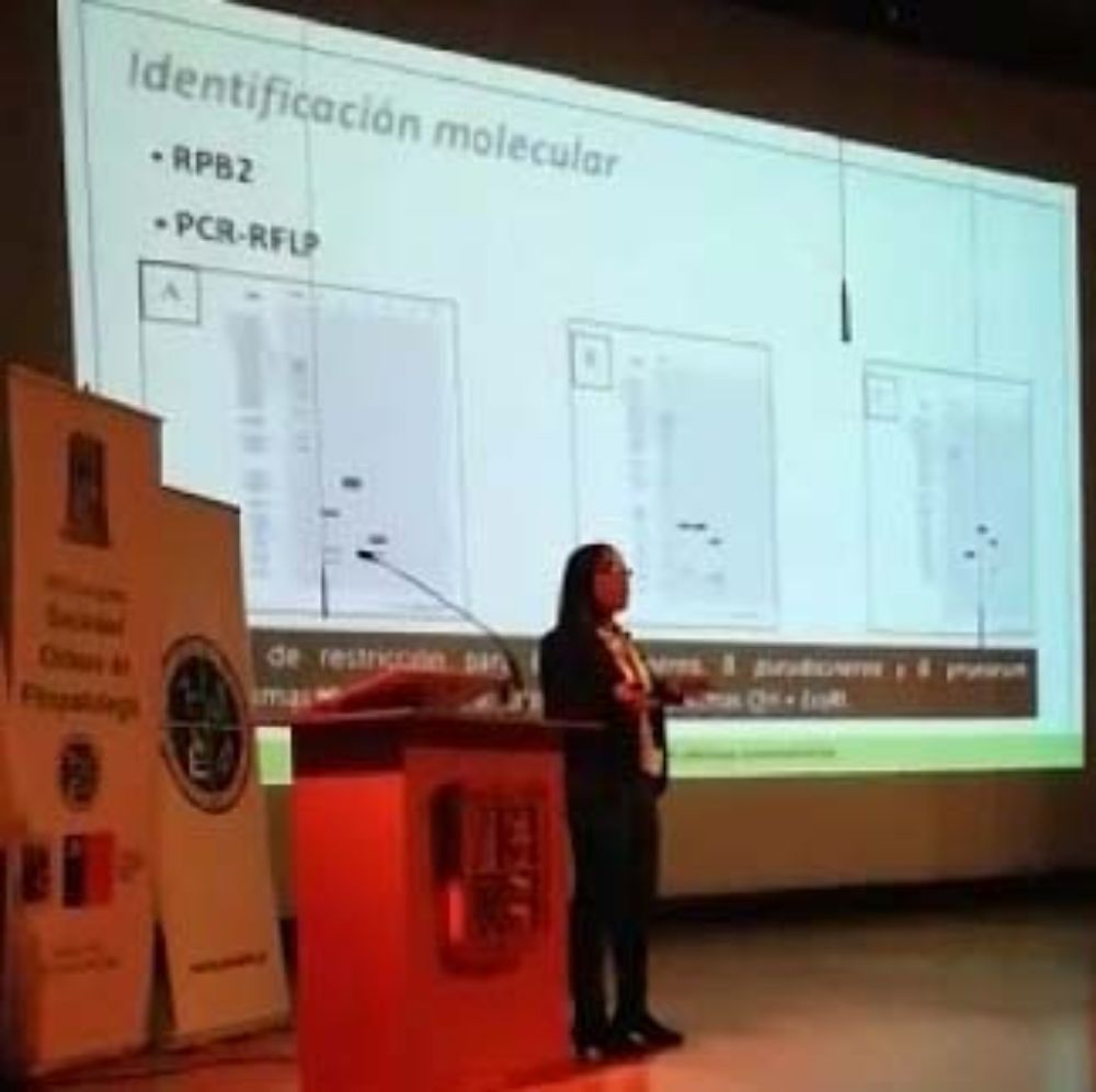 Premio a trabajo de postgrado 2018