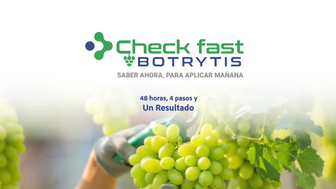 Portada del video